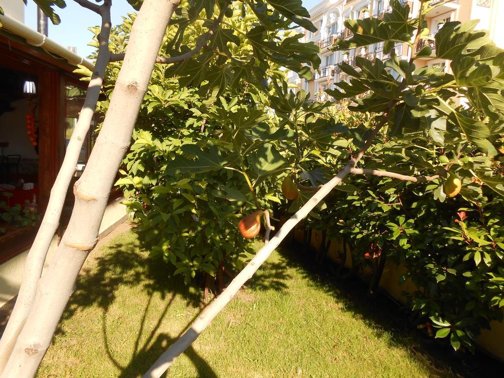 Tomi Family Apartments Солнечный берег Экстерьер фото